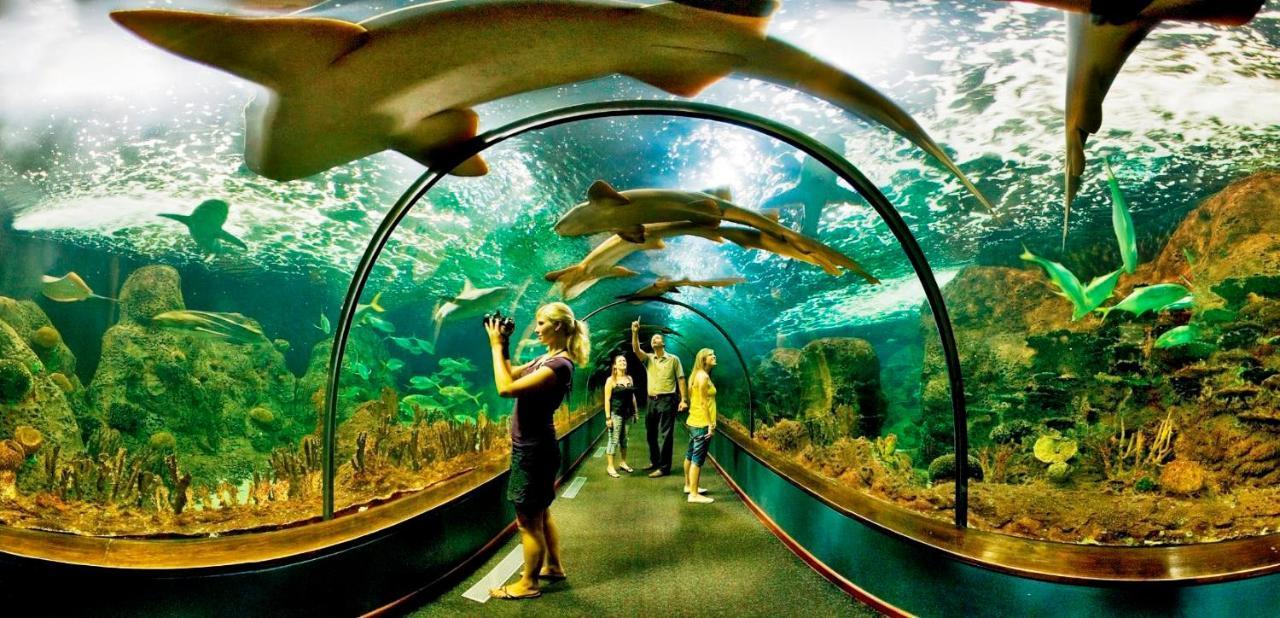 Апартаменти Albatros Park Amarilla Golf Piscina Climatizada, Wifi Сан-Мігель-де-Абона Екстер'єр фото